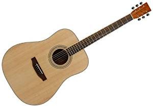 SX Orchestra Acoustic Guitar