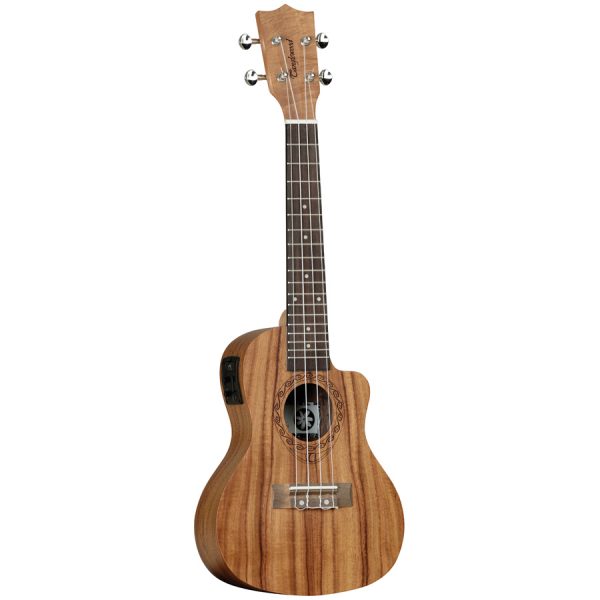 Tanglewood TW16E