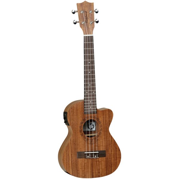 Tanglewood TW17E