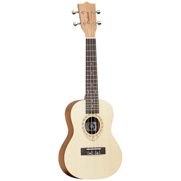 Tanglewood TW4 Concert