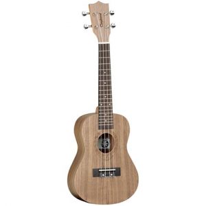 Tanglewood TWT3