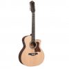 Gilman Grand Auditorium 12 String - Image 2