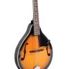 BRYDEN SMA10 MANDOLIN - Image 2